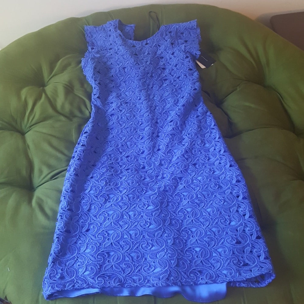 Bright Blue Zara Dress - NWT